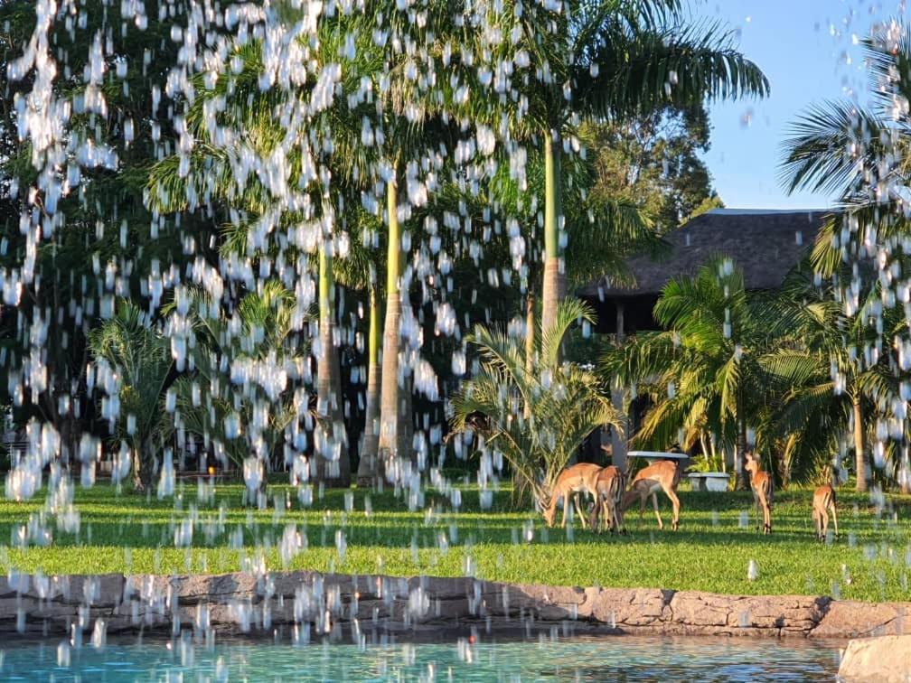 Benka Lifestyle Country Cottages エズルウィニ エクステリア 写真