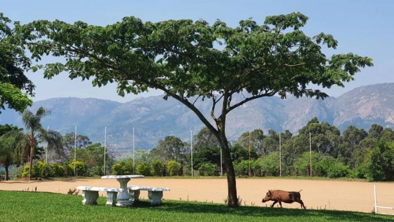 Benka Lifestyle Country Cottages エズルウィニ エクステリア 写真
